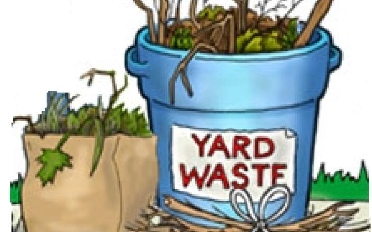 yard waste
